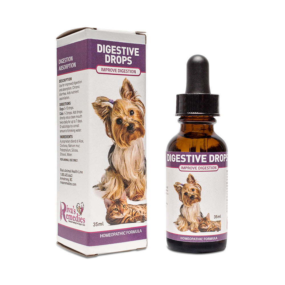 Digestive Drops is a safe, fast-acting homeopathic liquid formula for dogs and cats that are suffering from chronic diarrhea. It is a perfect, natural remedy to use for puppies, kittens and pregnant females as it is easy to administer and is extra gentle. OnTotalWellness distributing for Ontario 