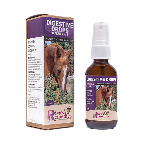 Digestive Drops is a liquid homeopathic formula to promote optimum digestive function in horses, ponies and donkeys with chronic diarrhea and /or absorption problems. Competition safe. OnTotalWellness distributes in Ontario
