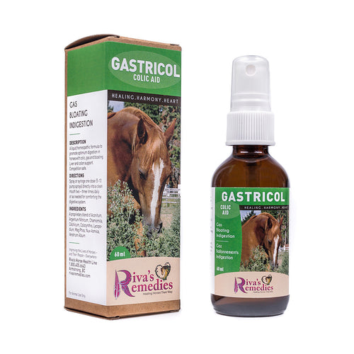 Gastricol is a liquid homeopathic formula to promote optimum digestion in horses, ponies and donkeys with colic, gas and bloating. Liver and colon support. Competition safe. OnTotalWellness distributing for Ontario 