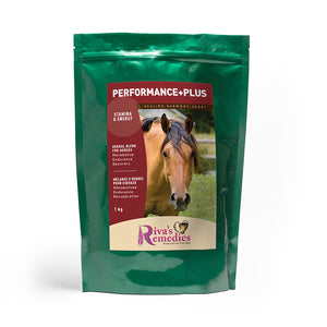 Performance+plus is an all-natural blend of nutritional performance foods to support metabolism and maintain energy levels and vitality. Promotes hoof growth, healthy adrenal function and exercise recovery. Contains a healthy source of Omega 3's, plant based proteins, minerals and fibre.OnTotalWellness distributing for Ontario 