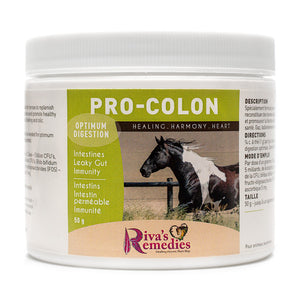 Pro-Colon is specifically formulated for horses, ponies and donkeys to replenish friendly intestinal bacteria and promote healthy hindgut function. Its is a blend of prebiotics and probiotics and aids with gas, bloating and colic. OnTotalWellness distributing for Ontario 