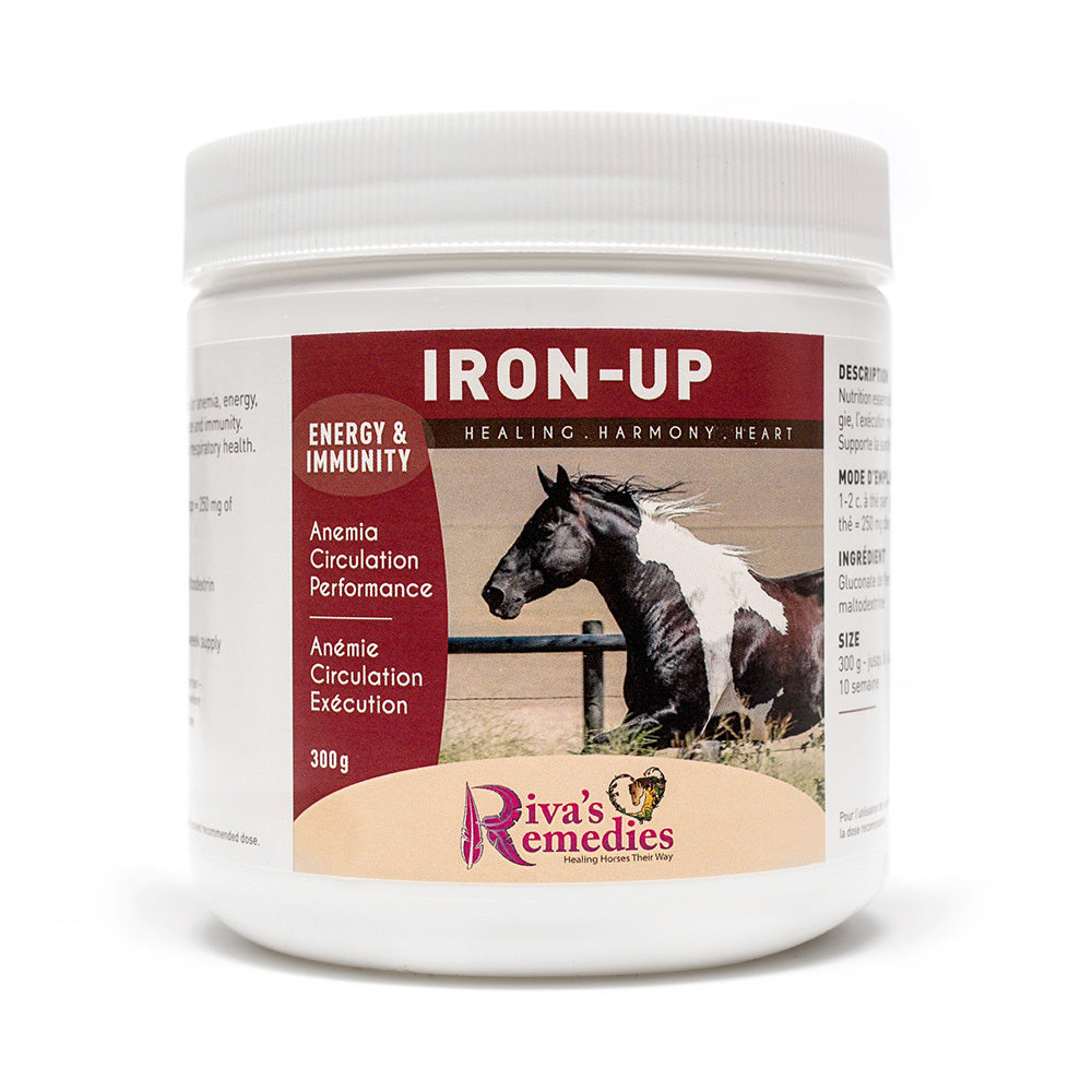 Iron-Up is an essential nutritional supplement for anemia, energy, mental wellness and immunity. Supports blood cell regulation and optimum respiratory health. OnTotalWellness distributing for Ontario 